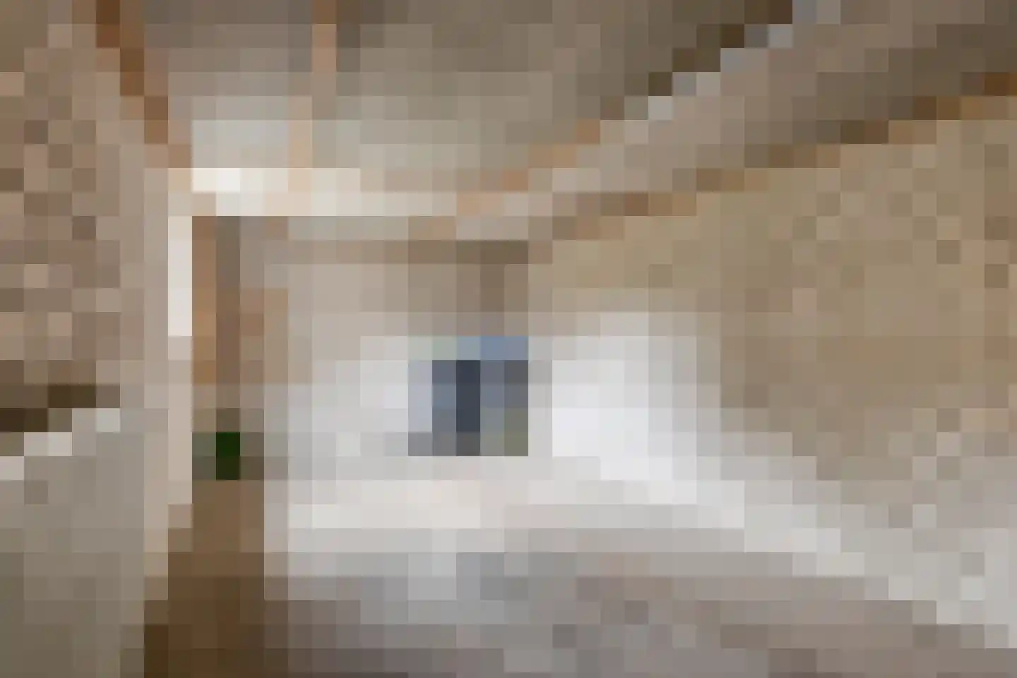 Simonlaan 6 Heilig Landstichting thumbnail 38