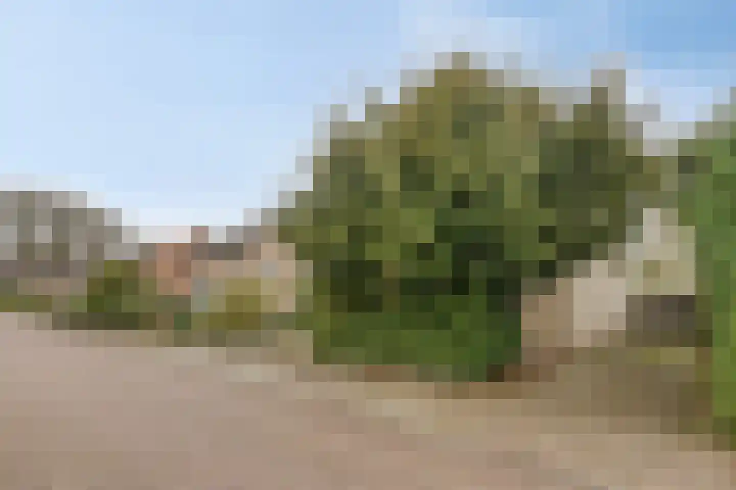 Simonlaan 6 Heilig Landstichting thumbnail 40