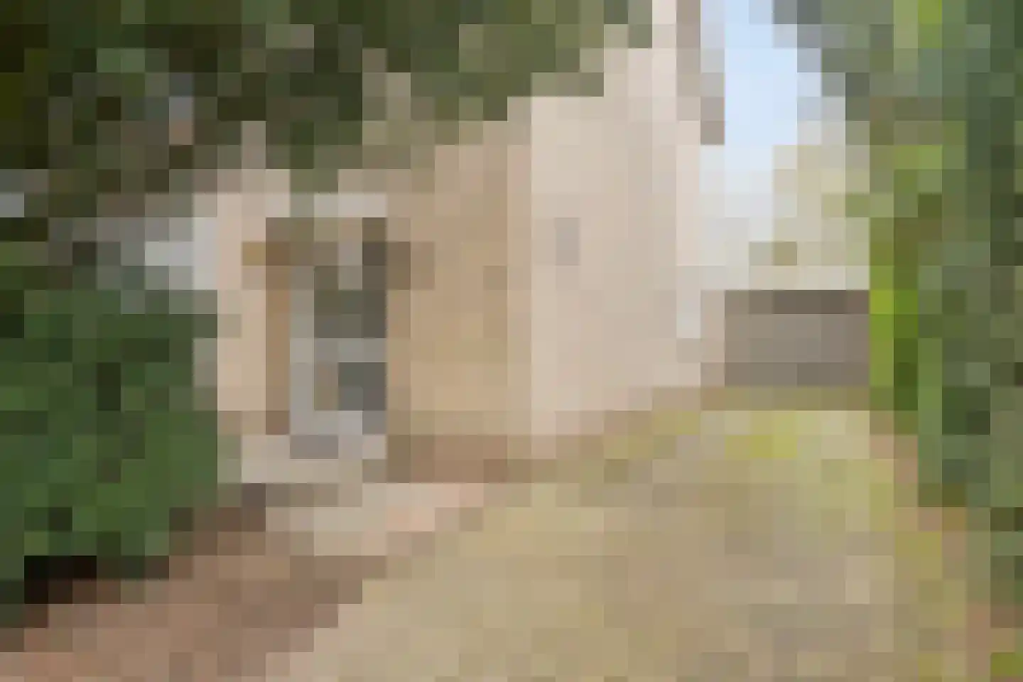 Simonlaan 6 Heilig Landstichting thumbnail 5