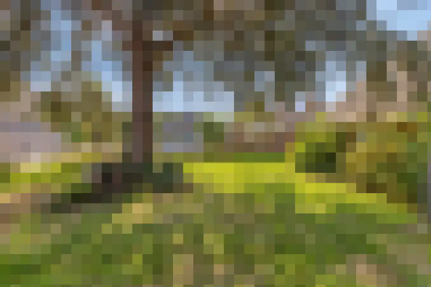 Simonskerkestraat 33 Kerkwerve thumbnail 10