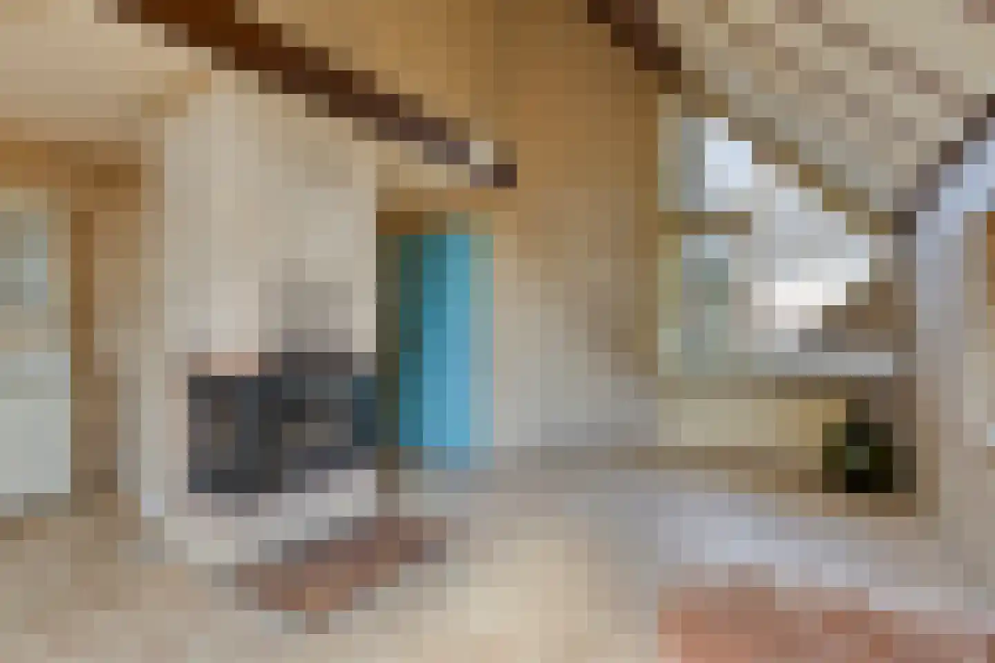 Simonskerkestraat 33 Kerkwerve thumbnail 13