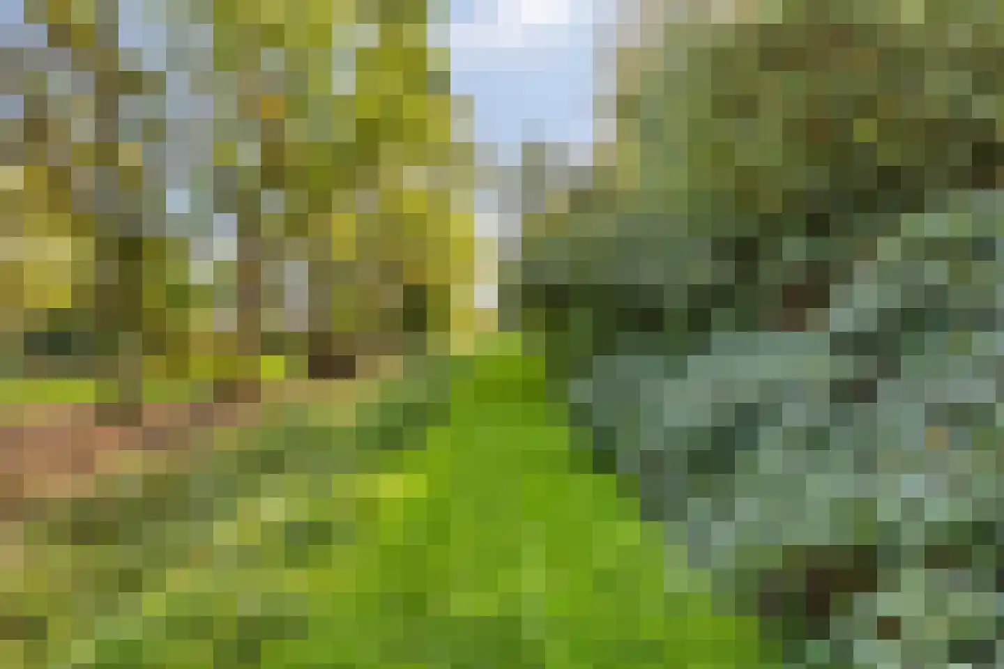 Simonskerkestraat 33 Kerkwerve thumbnail 60