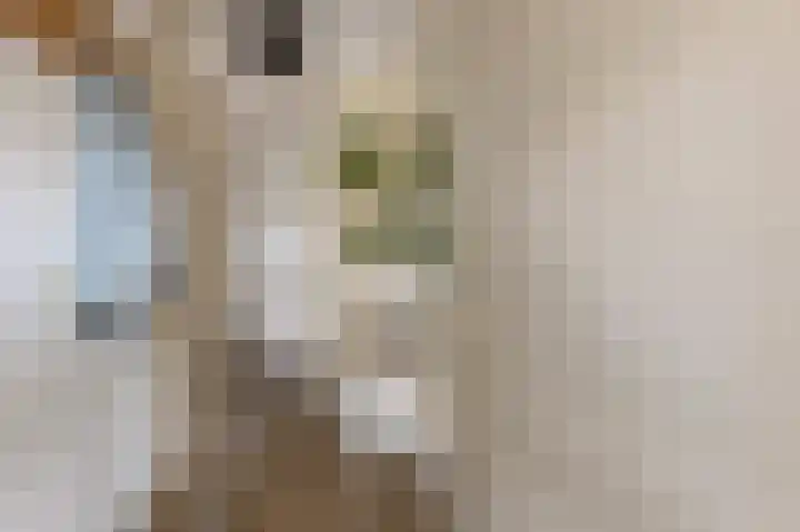 Simonsstate 9 Ede thumbnail 10
