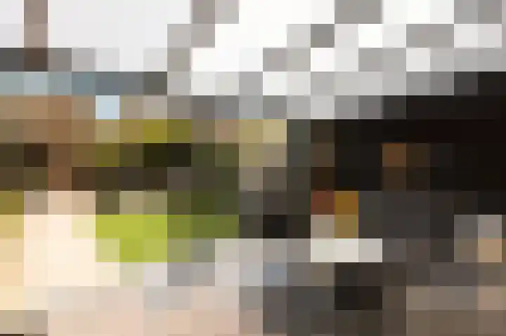 Simonsstate 9 Ede thumbnail 39