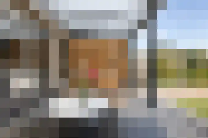 Simonsstate 9 Ede thumbnail 41