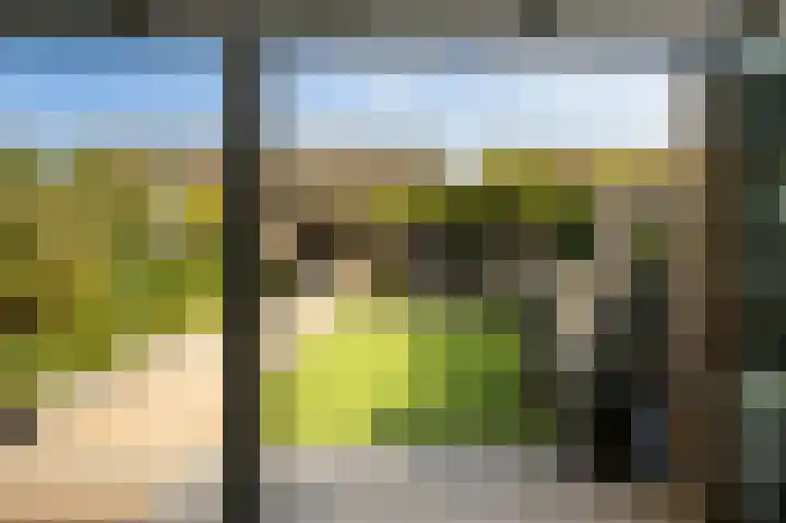 Simonsstate 9 Ede thumbnail 43