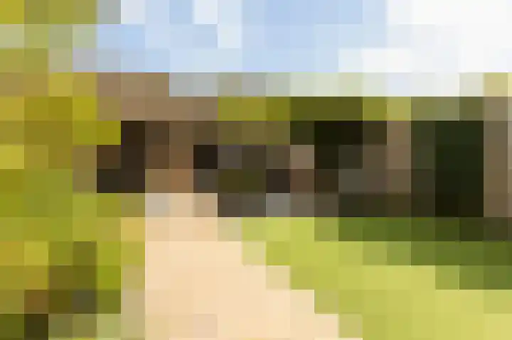 Simonsstate 9 Ede thumbnail 45