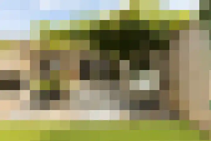 Simonsstate 9 Ede thumbnail 47