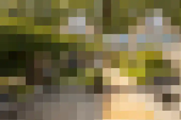 Simonsstate 9 Ede thumbnail 49
