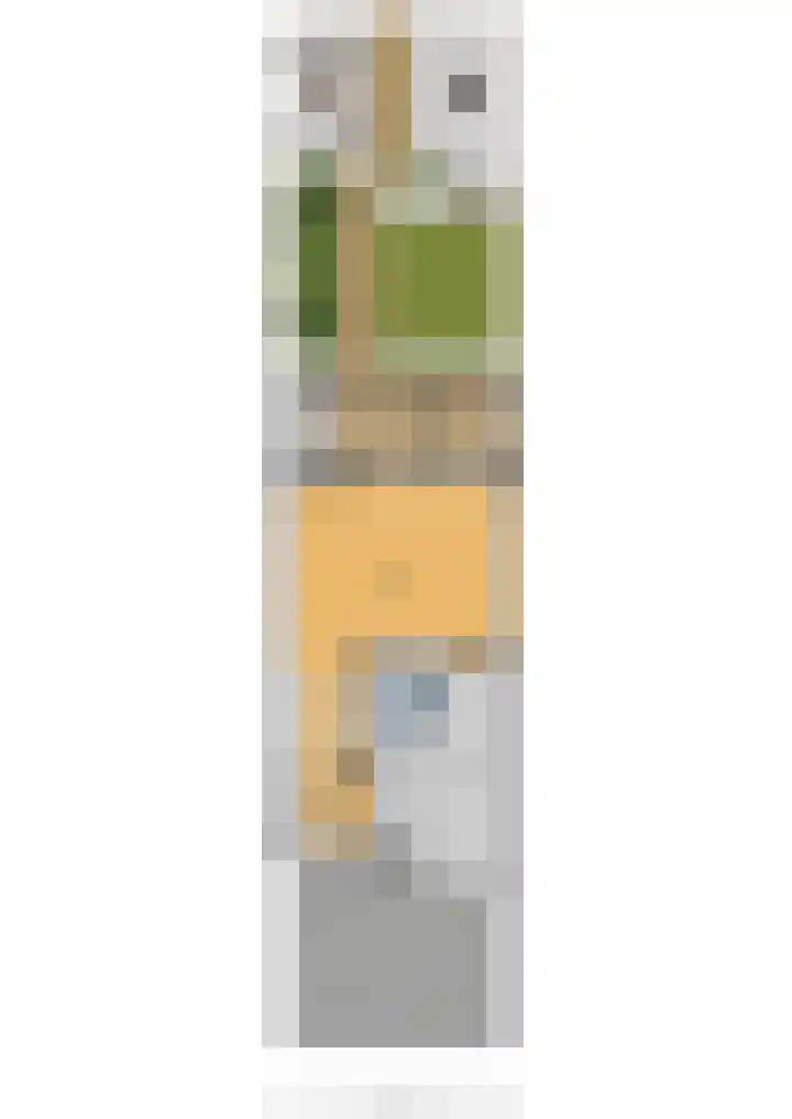 Simonsstate 9 Ede thumbnail 53