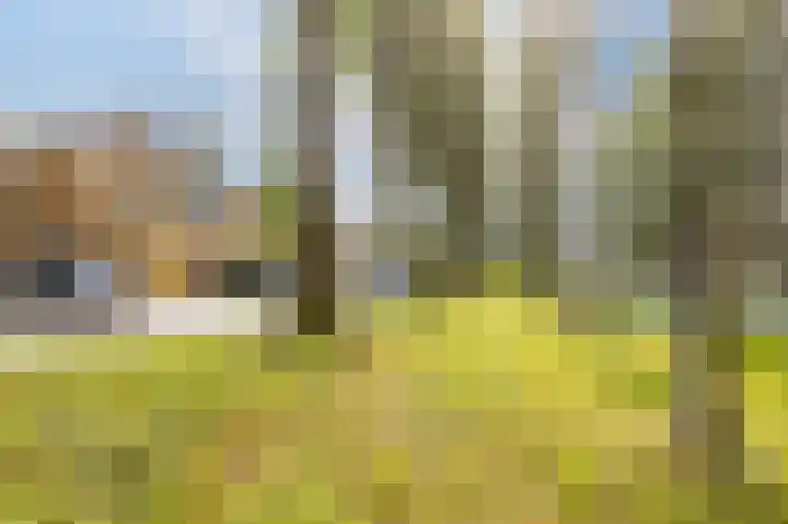 Simonsstate 9 Ede thumbnail 8