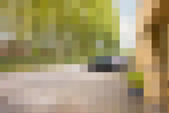Simonsstate 9 Ede thumbnail 9