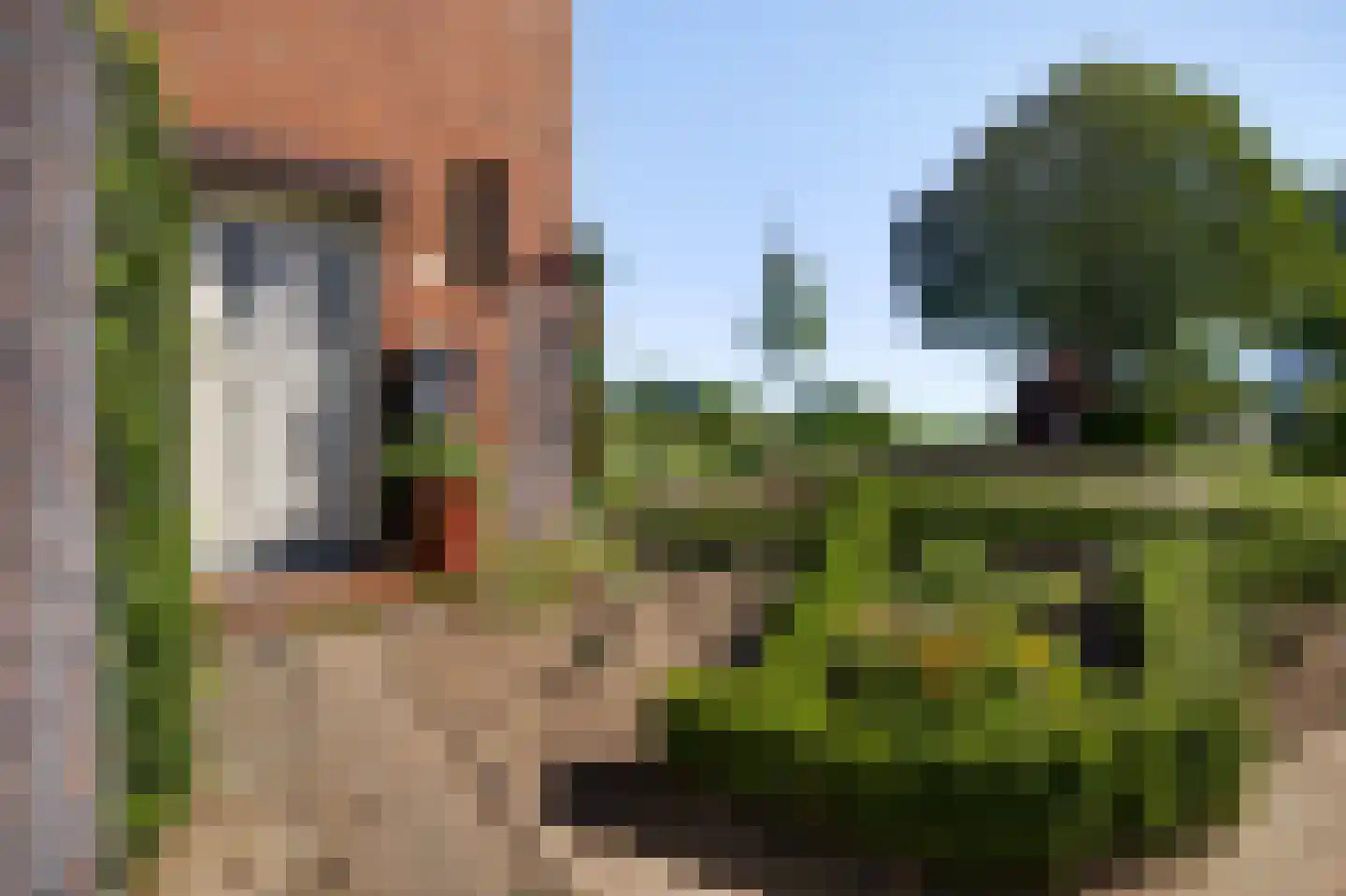 Simonsstraat 26 Kronenberg thumbnail 12