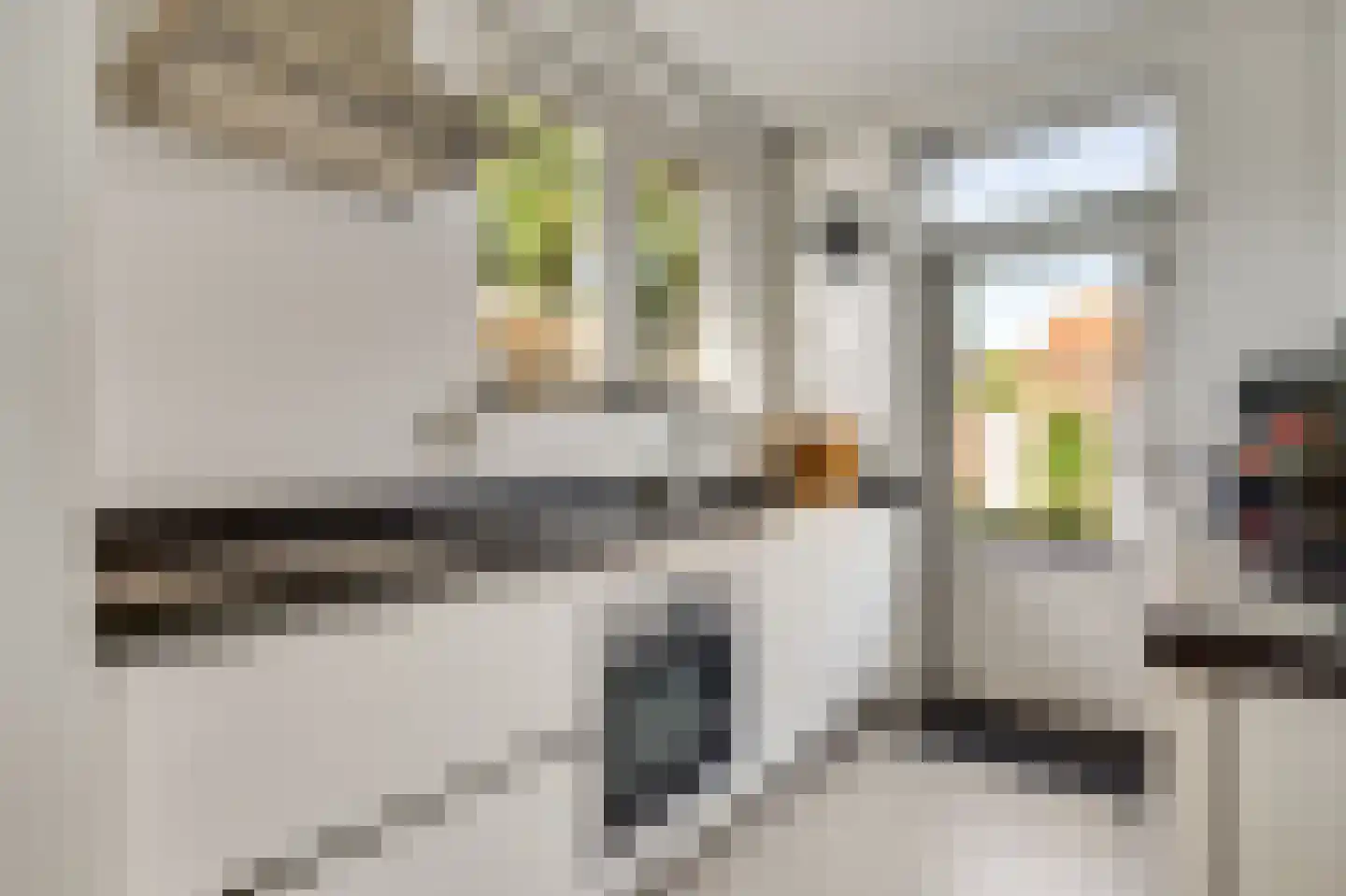Simonsstraat 26 Kronenberg thumbnail 26