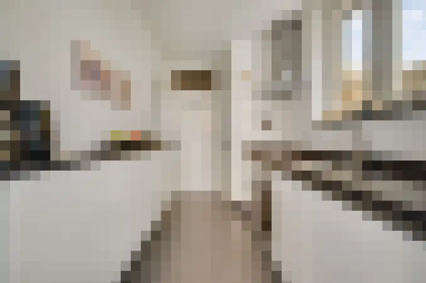 Simonsstraat 26 Kronenberg thumbnail 27