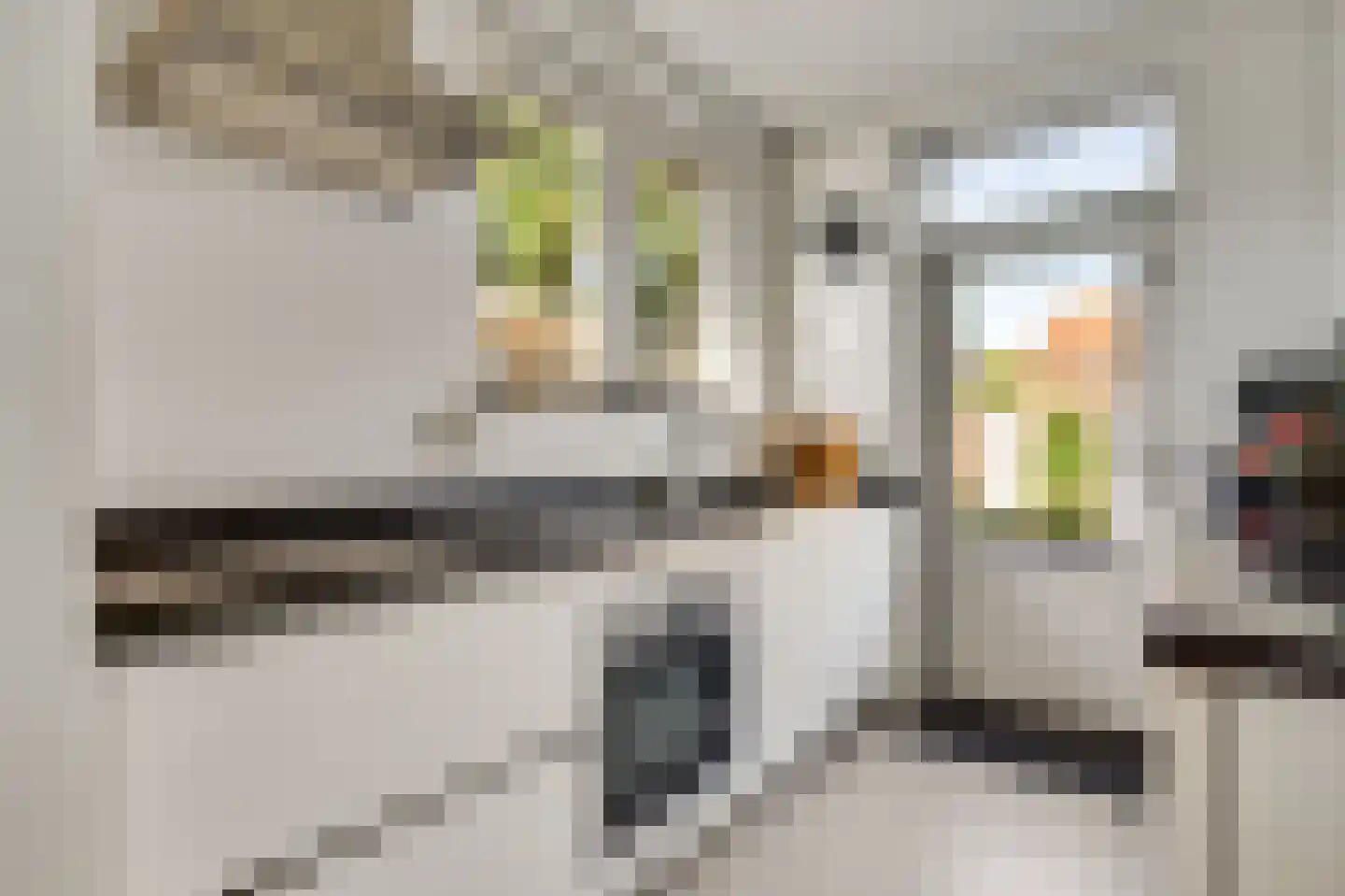 Simonsstraat 26 Kronenberg thumbnail 4