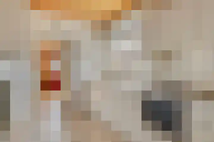Simonsstraat 3 Kronenberg thumbnail 17