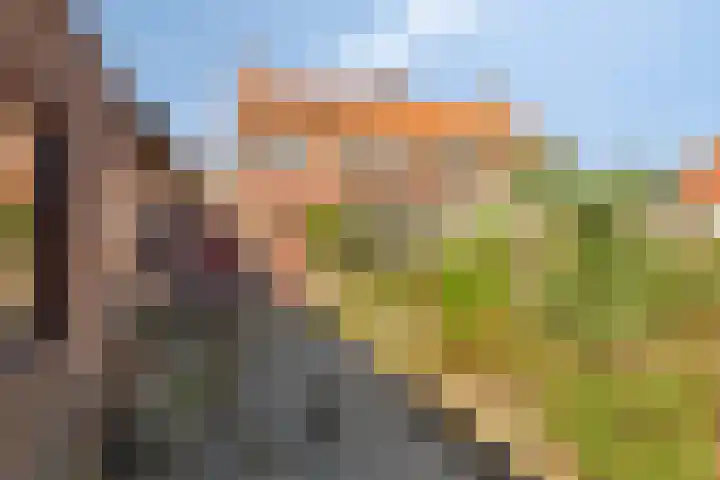 Simonsstraat 3 Kronenberg thumbnail 33