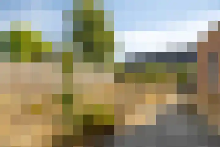 Simonsstraat 3 Kronenberg thumbnail 35