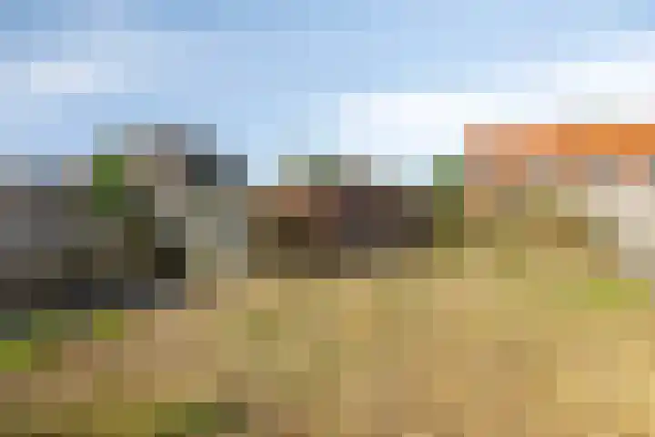 Simonsstraat 3 Kronenberg thumbnail 36