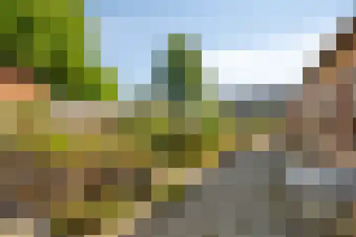 Simonsstraat 3 Kronenberg thumbnail 4