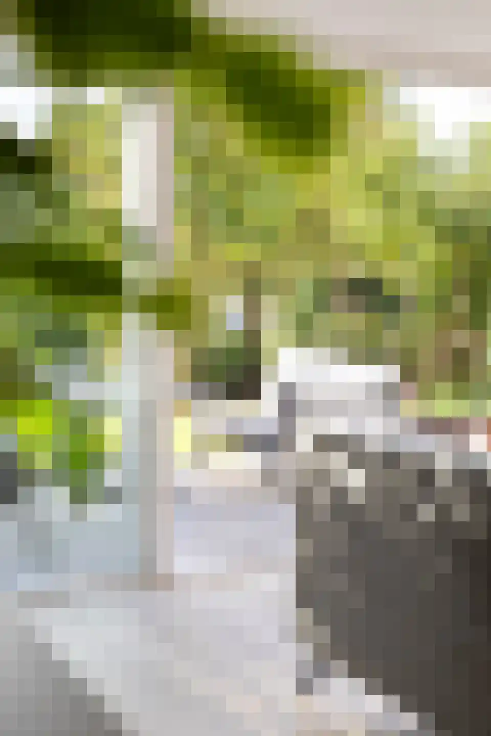 Simonsstraat 5 Groningen thumbnail 13