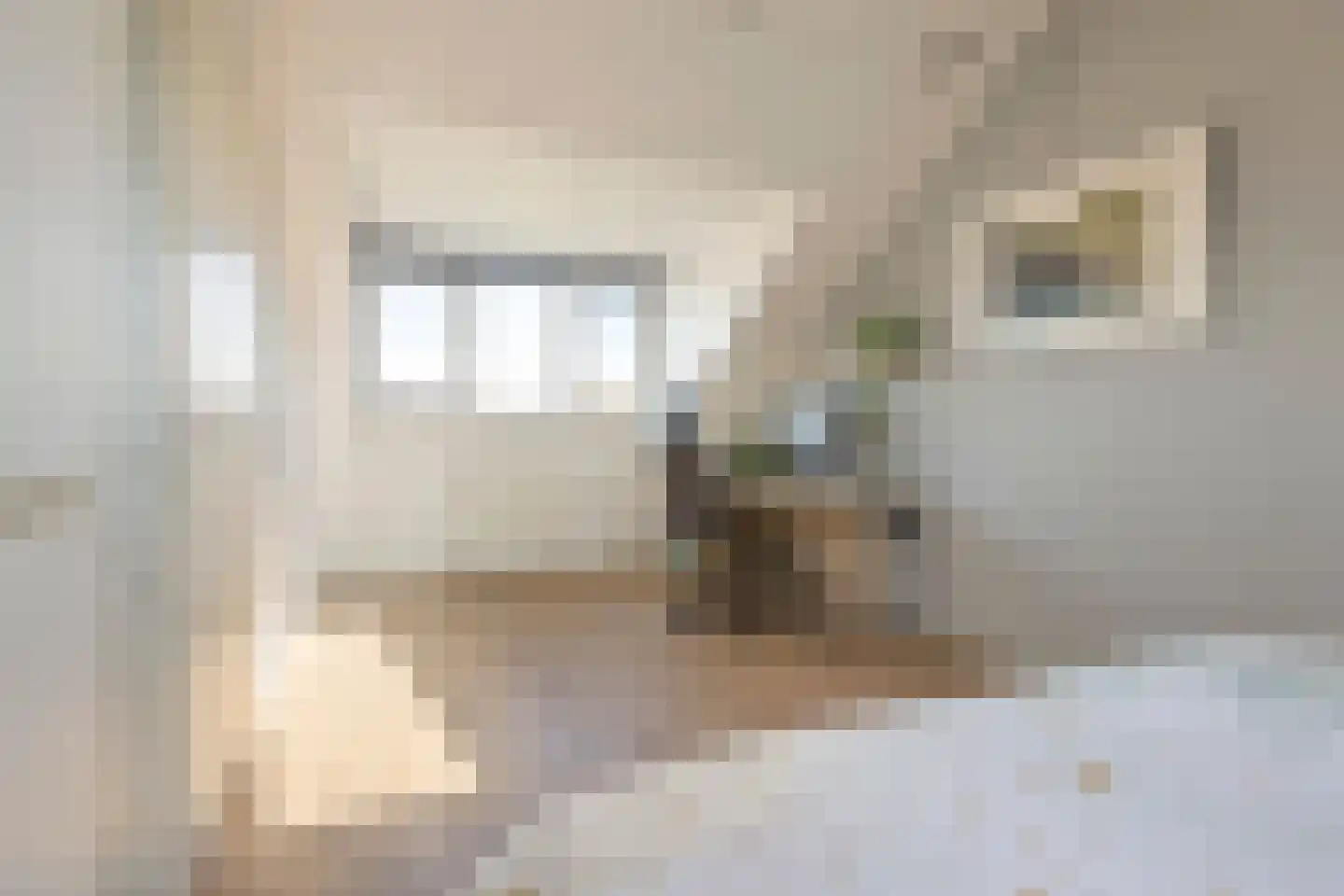 Simonsstraat 5 Groningen thumbnail 36