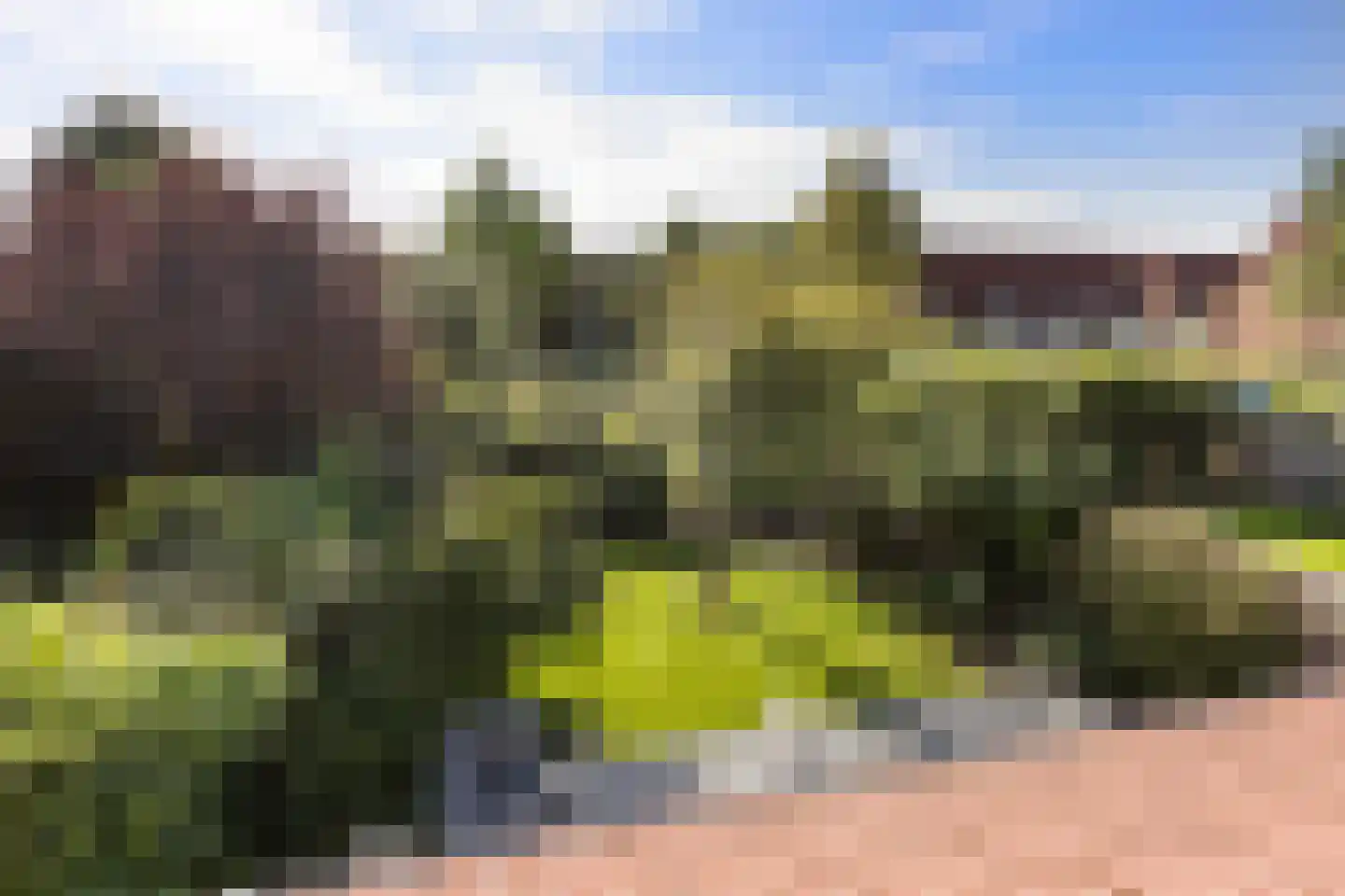 Simonsstraat 5 Groningen thumbnail 37