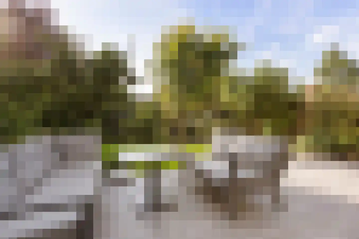 Simonsstraat 5 Groningen thumbnail 38