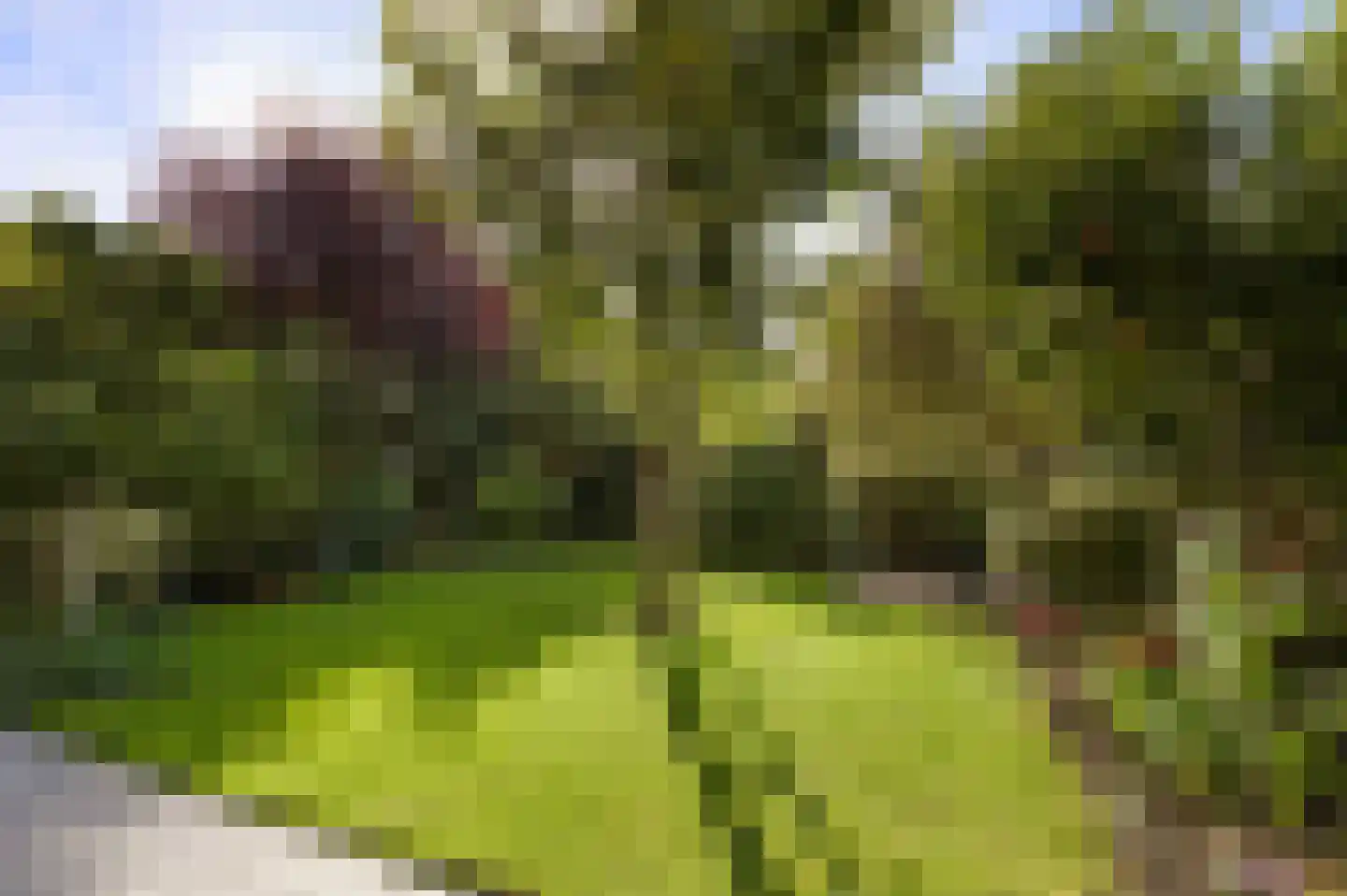 Simonsstraat 5 Groningen thumbnail 39