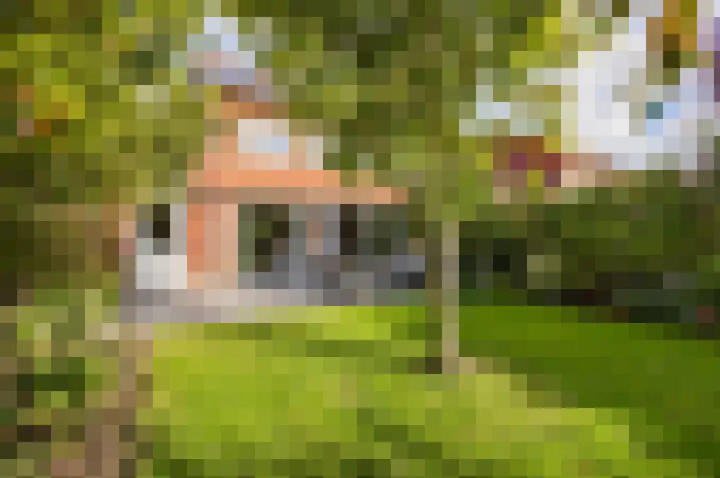 Simonsstraat 5 Groningen thumbnail 40
