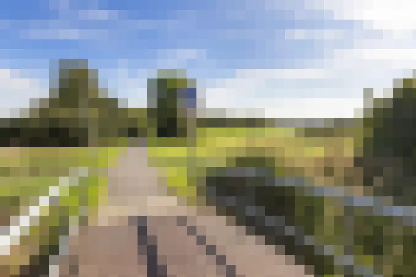 Simonsstraat 5 Groningen thumbnail 43