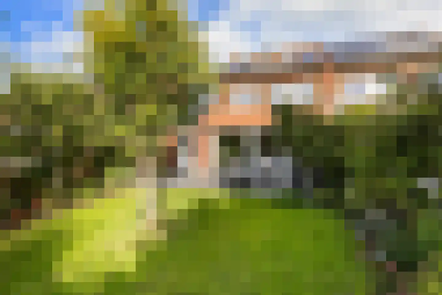 Simonsstraat 5 Groningen thumbnail 6