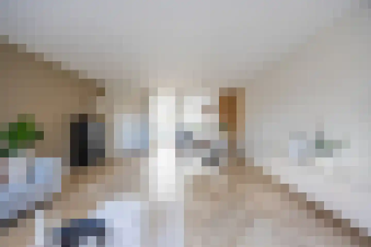 Simonszand 26 Heemskerk thumbnail 17