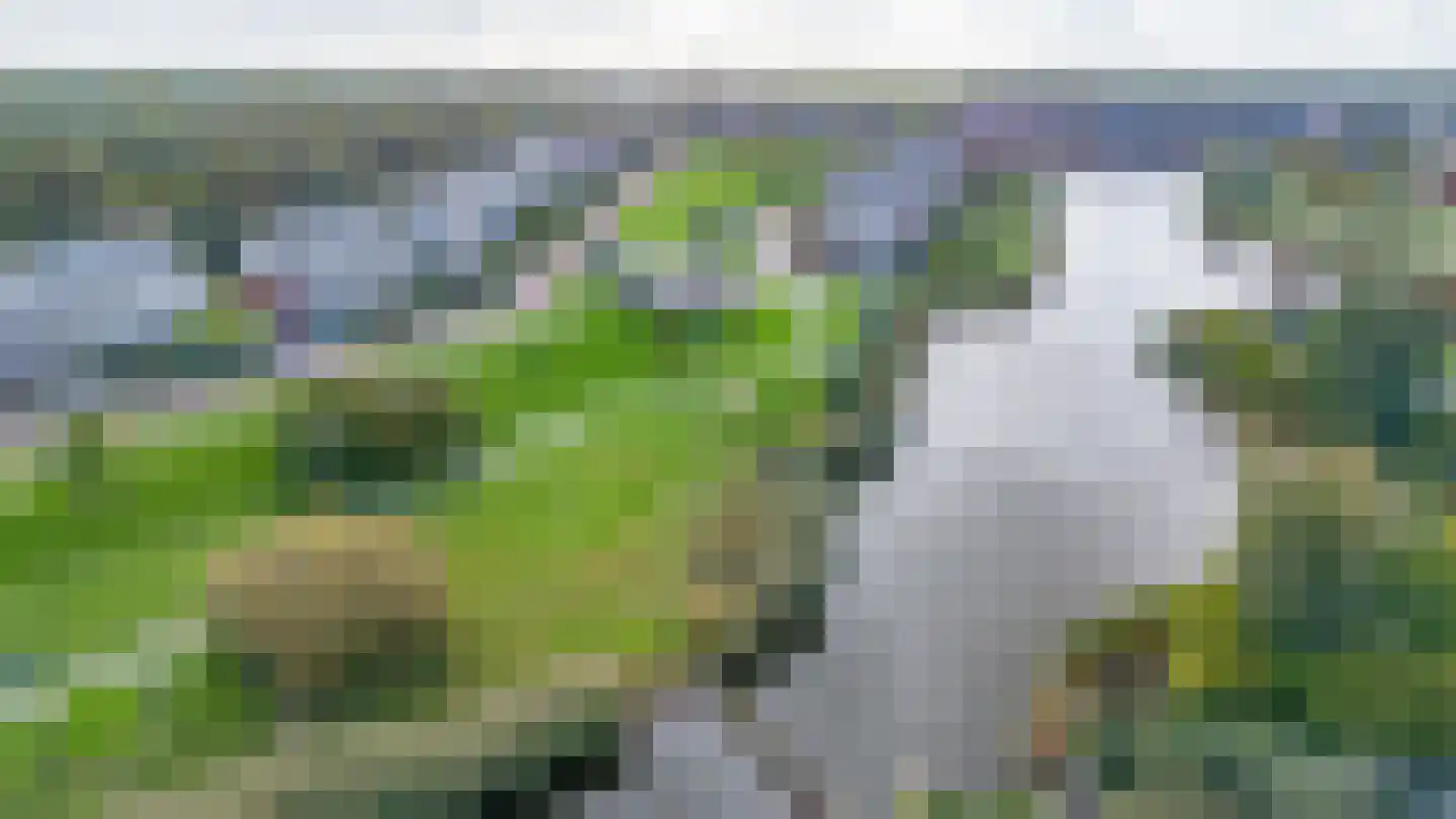 Simonszand 26 Heemskerk thumbnail 48
