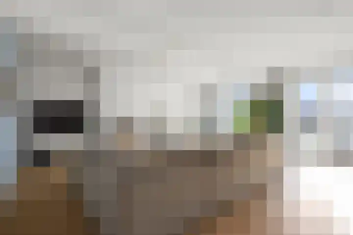 Simonszand 3 Heemskerk thumbnail 13