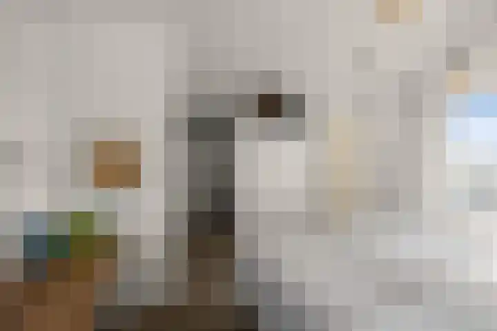 Simonszand 3 Heemskerk thumbnail 53