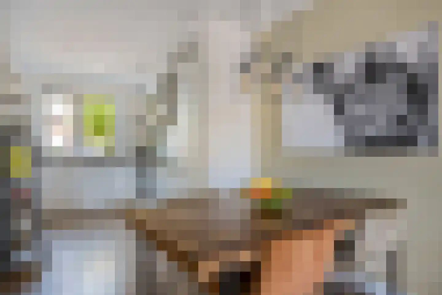 Simonszand 34 Heemskerk thumbnail 5