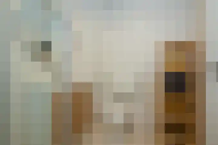 Simonszand 61 Hoofddorp thumbnail 26