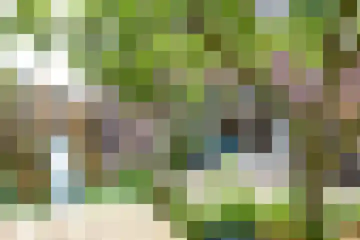 Simonszand 61 Hoofddorp thumbnail 36