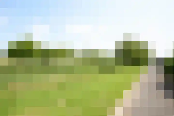 Simonszand 61 Hoofddorp thumbnail 42