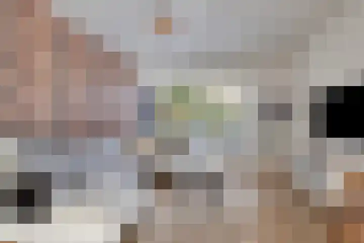 Simonszandlaan 4 Son en Breugel thumbnail 11