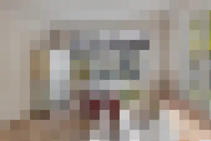 Simonszandlaan 4 Son en Breugel thumbnail 23