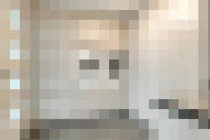 Simonszandlaan 4 Son en Breugel thumbnail 25