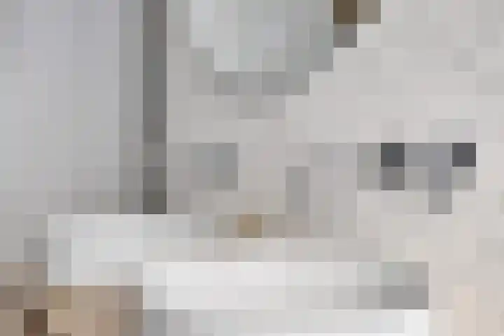 Simonszandlaan 4 Son en Breugel thumbnail 35