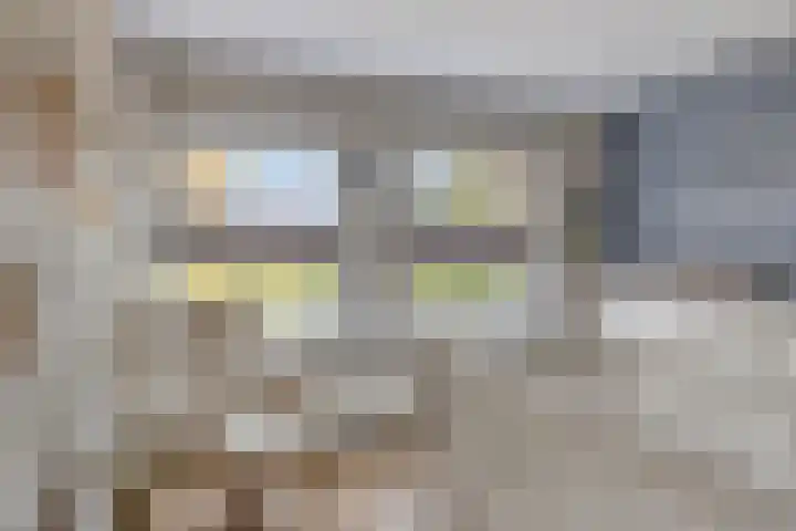Simonszandlaan 4 Son en Breugel thumbnail 36