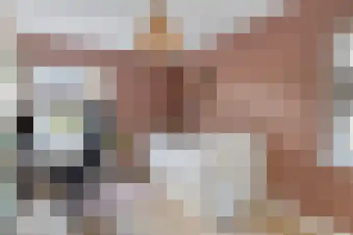 Simonszandlaan 4 Son en Breugel thumbnail 37
