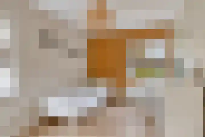 Simonszandlaan 4 Son en Breugel thumbnail 38