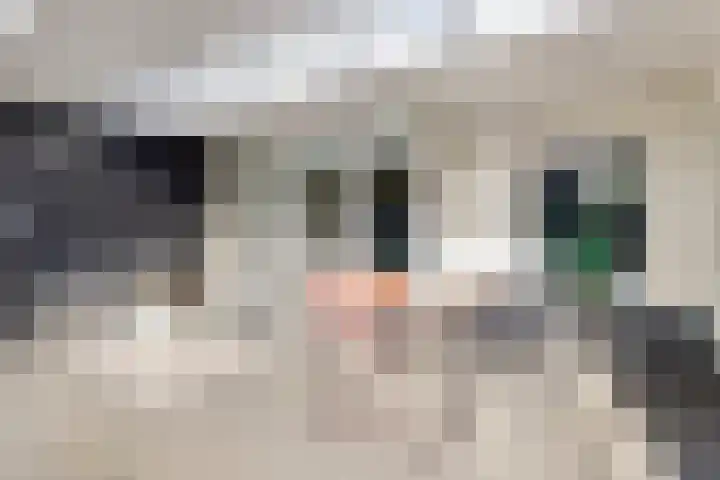 Simonszandlaan 4 Son en Breugel thumbnail 41