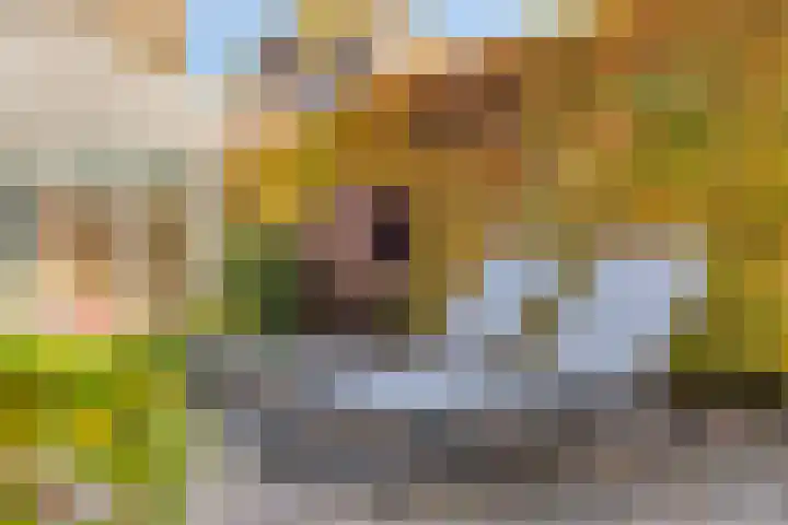 Simonszandlaan 4 Son en Breugel thumbnail 42